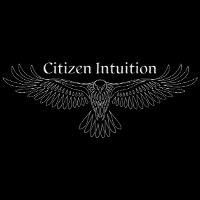 CitizenIntuition