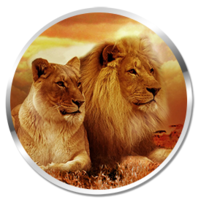 Lionswakeup