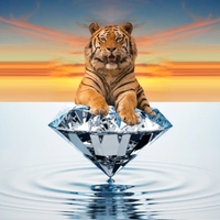 Tigerdiamond