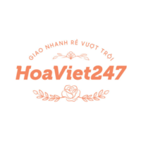 Hoaviet247