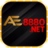 Ae8880net