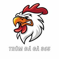 Trumdaga365