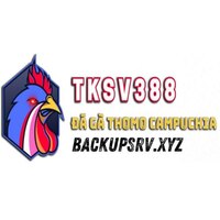 Tksv388backupsrv