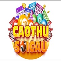 Caothusoicaubot