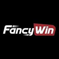 Fancywintop