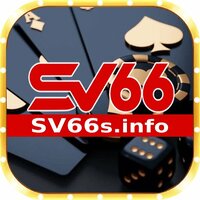 Sv66sinfo