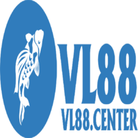 Vlcenter