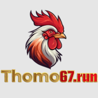 Thomo67run