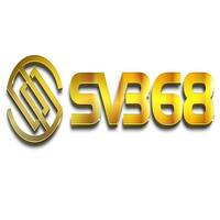 Sv368foundation